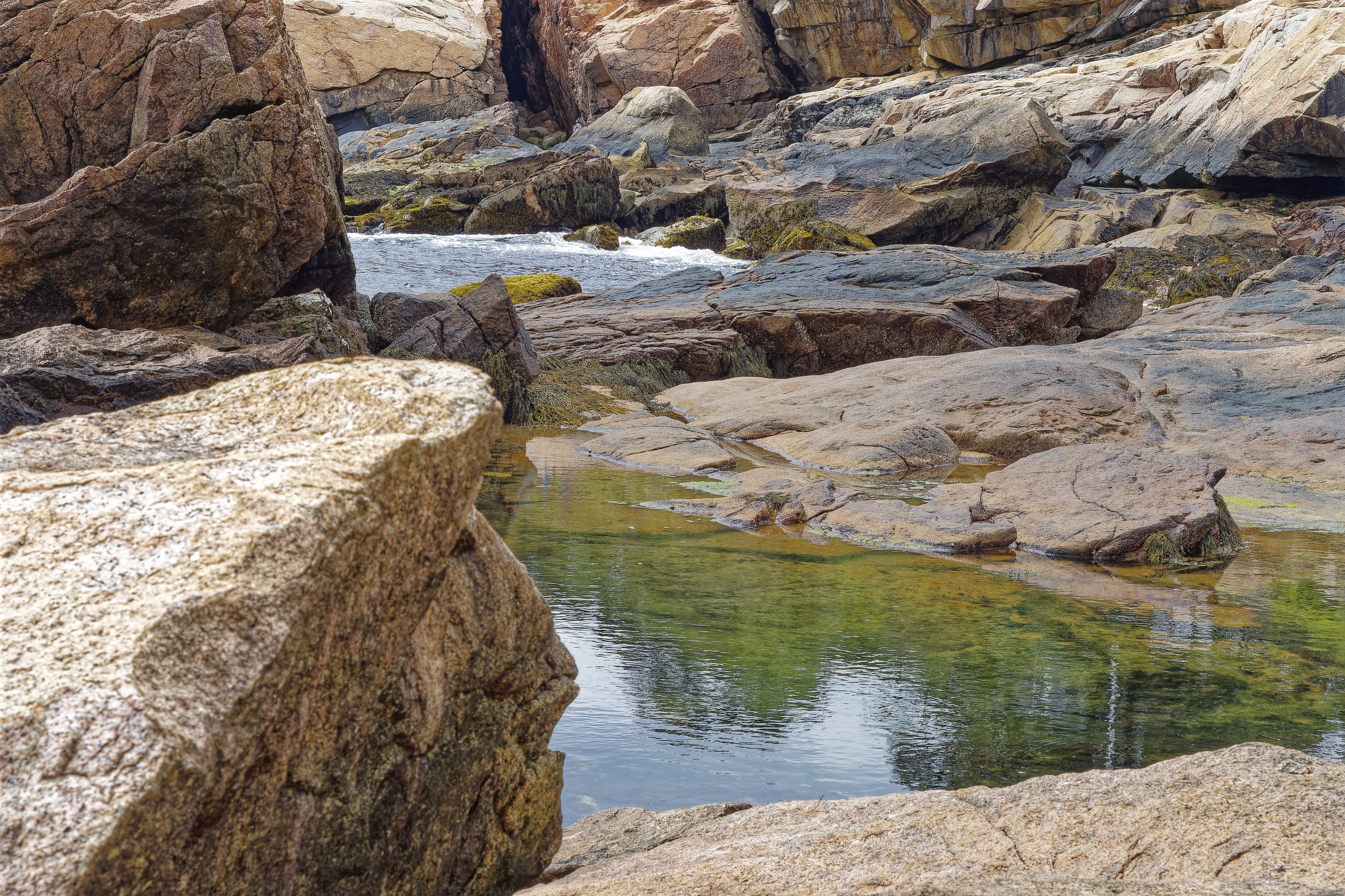 Two tidal pools, one calm and one with small waves, surrounded by large reddish-brown rocks with various shades of algae and lichen.