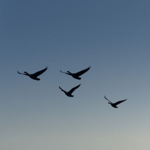 Ten Canada geese seen in silhouette in a deep blue, darkening sky with lighter color in distance