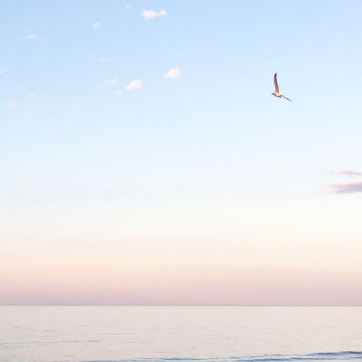 Photo taken near subset with a distant seagull soaring into a sky that is mostly light blue with some pink in the background above a mostly calm ocean surface