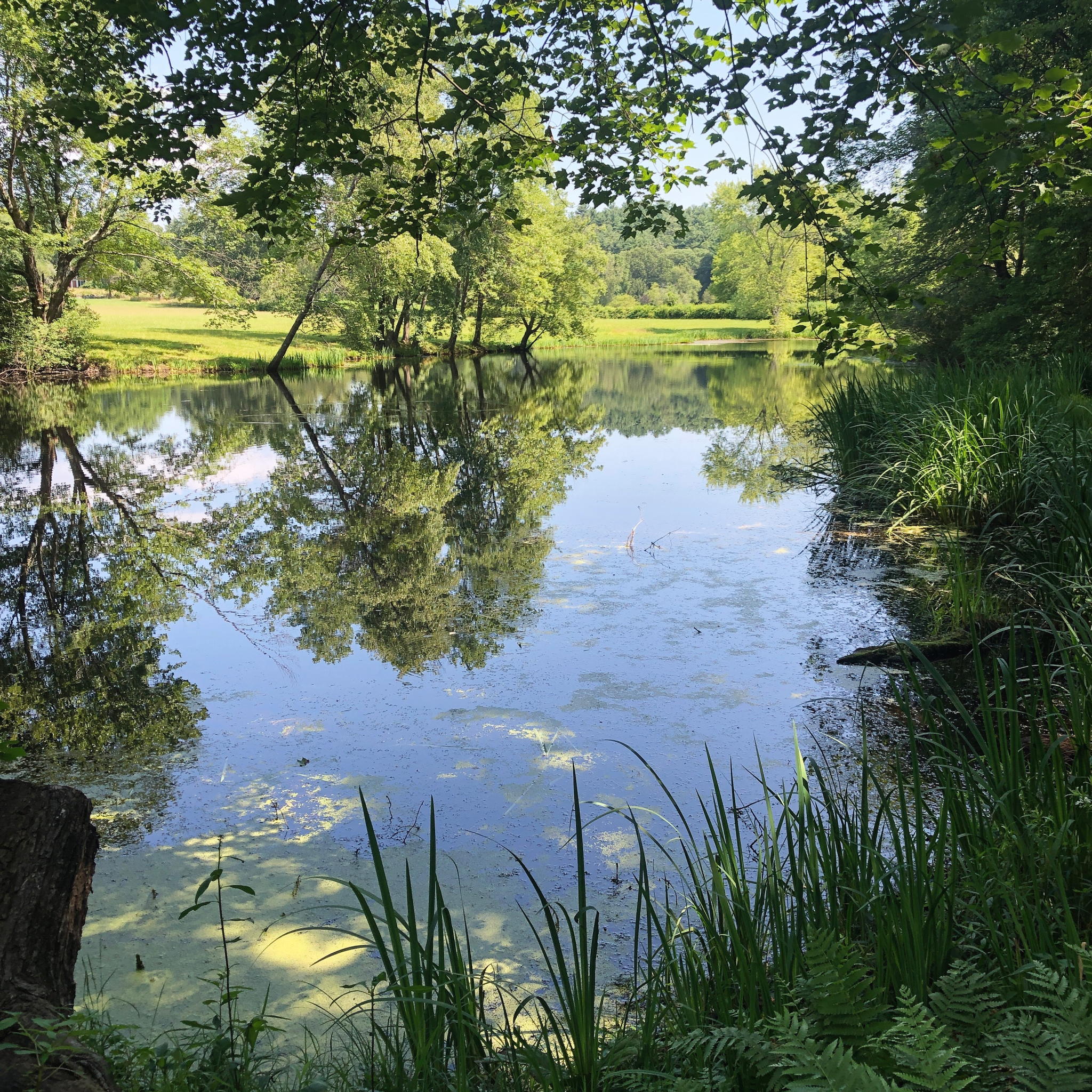 Photo containing a view of something