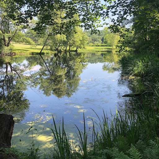 Photo containing a view of something