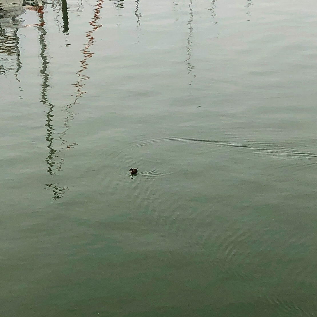 Photo containing a view of something