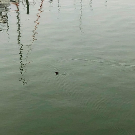 Photo containing a view of something